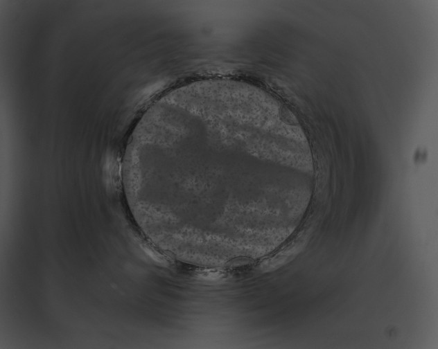 X0000095530624200801041247