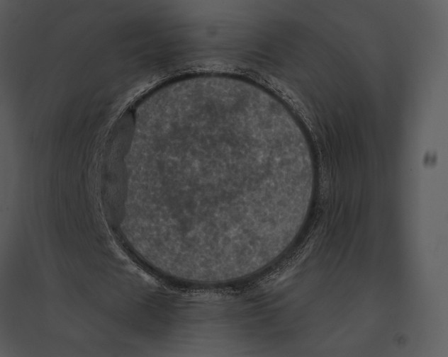 X0000095530625200801041247