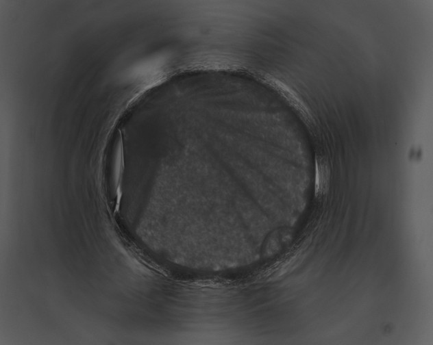 X0000095530627200801041247