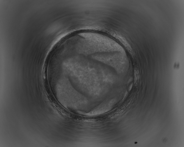 X0000095530628200801041247