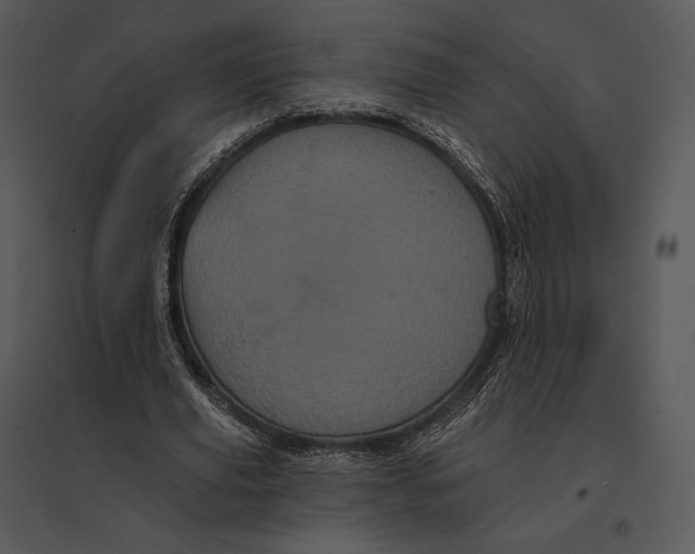 X0000095530629200801041247