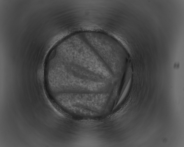 X0000095530630200801041247