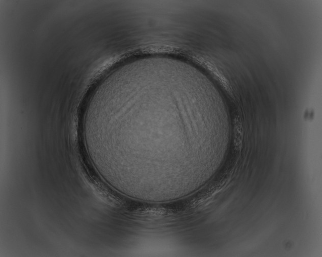 X0000095530631200801041247