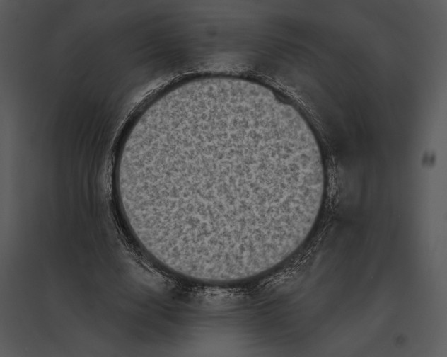 X0000095530632200801041247