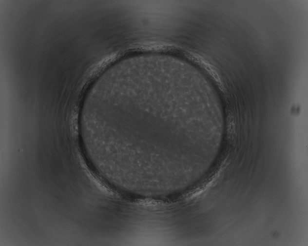 X0000095530633200801041247