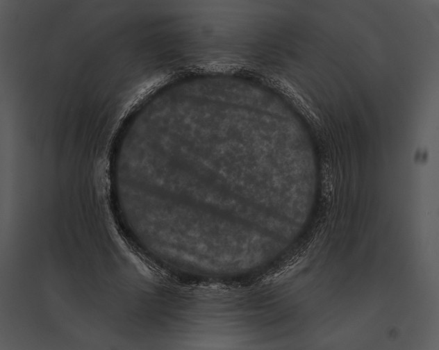 X0000095530634200801041247