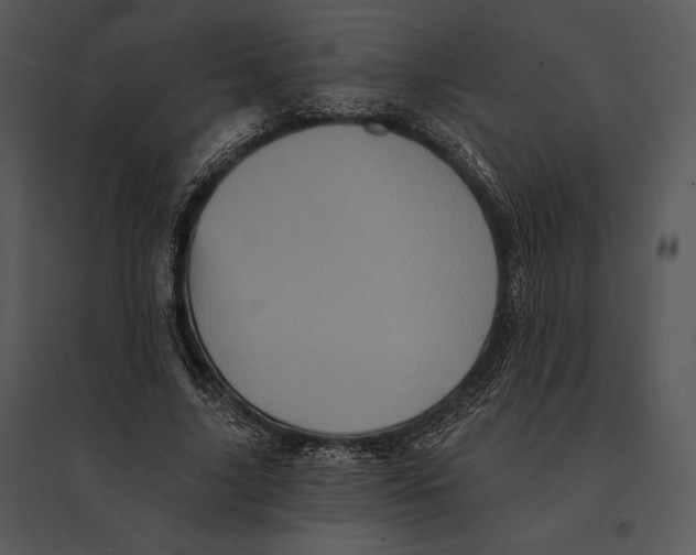 X0000095530635200801041247