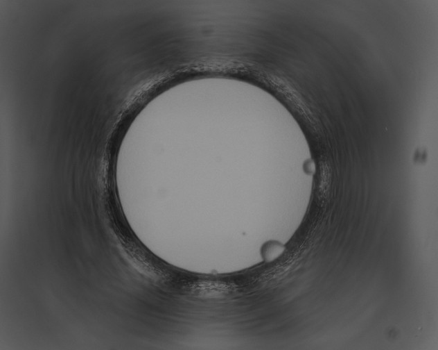 X0000095530636200801041247