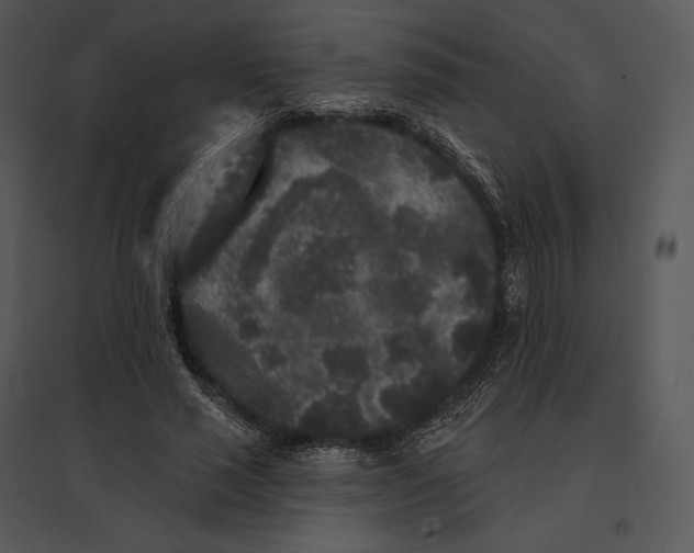 X0000095530637200801041247