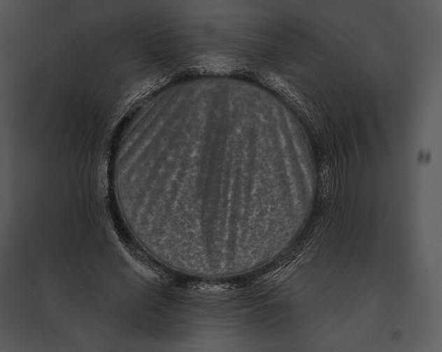 X0000095530638200801041247