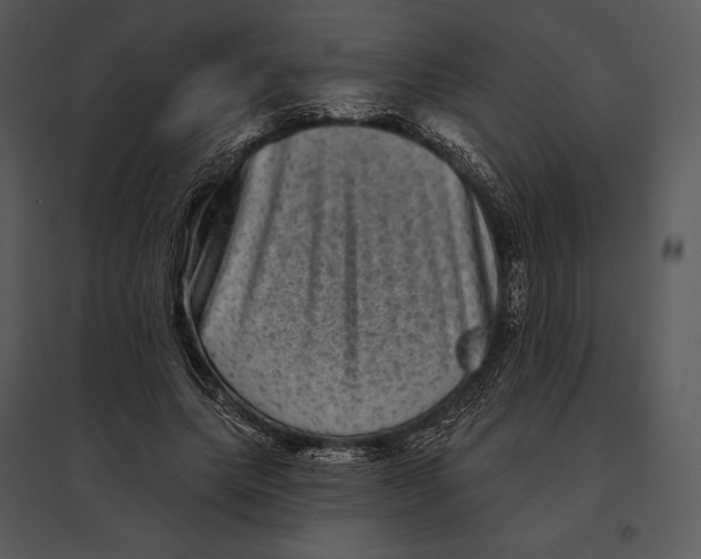 X0000095530639200801041247