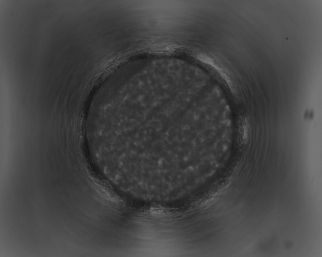 X0000095530641200801041247