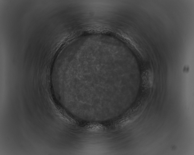 X0000095530642200801041247