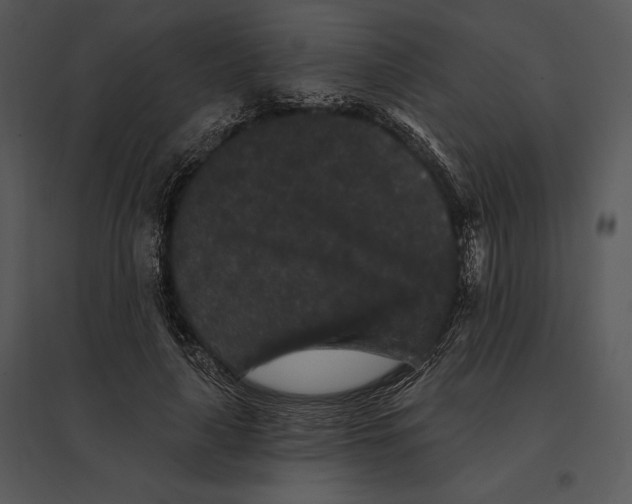 X0000095530643200801041247