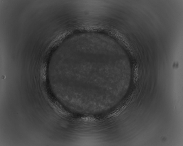 X0000095530644200801041247