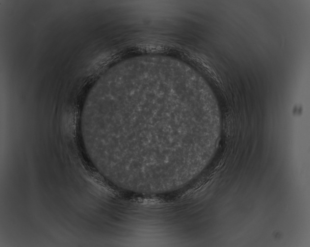 X0000095530645200801041247