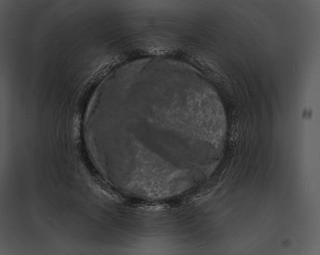 X0000095530646200801041247