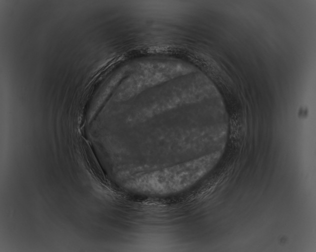 X0000095530648200801041247