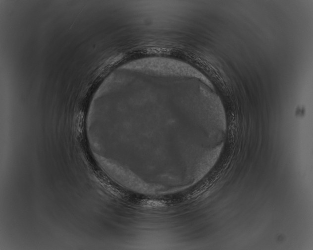 X0000095530649200801041247