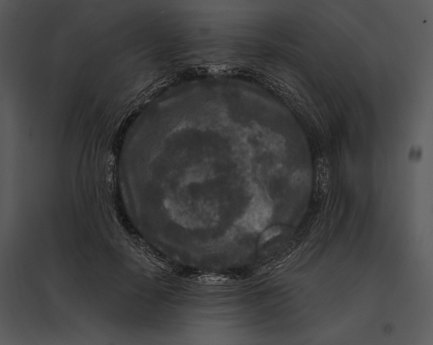 X0000095530650200801041247