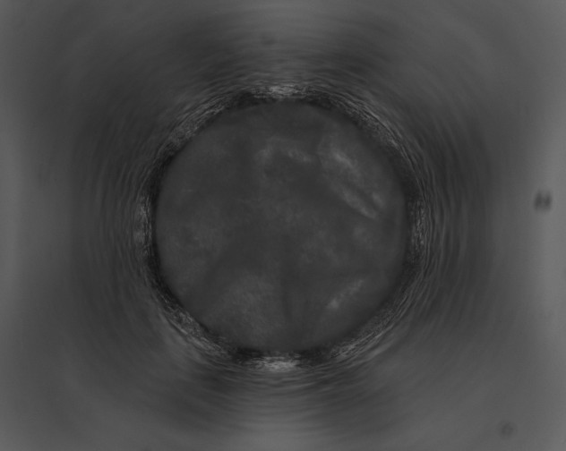 X0000095530651200801041247