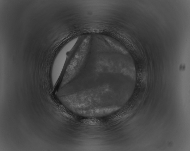 X0000095530652200801041247