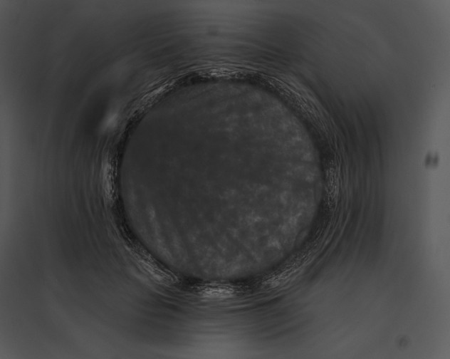 X0000095530653200801041247