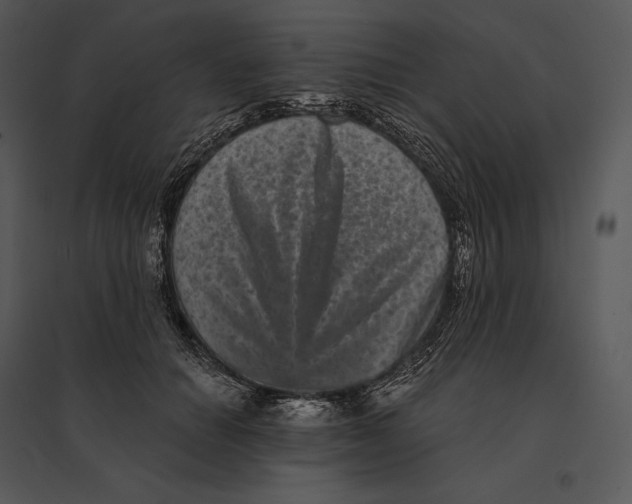 X0000095530654200801041247