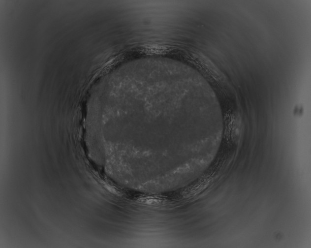 X0000095530655200801041247