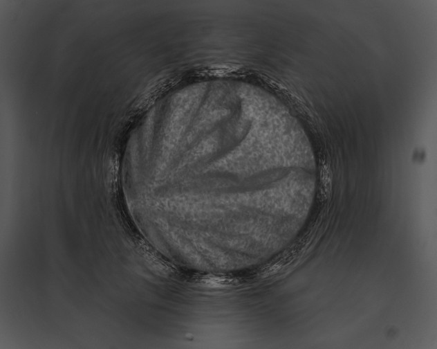 X0000095530657200801041247