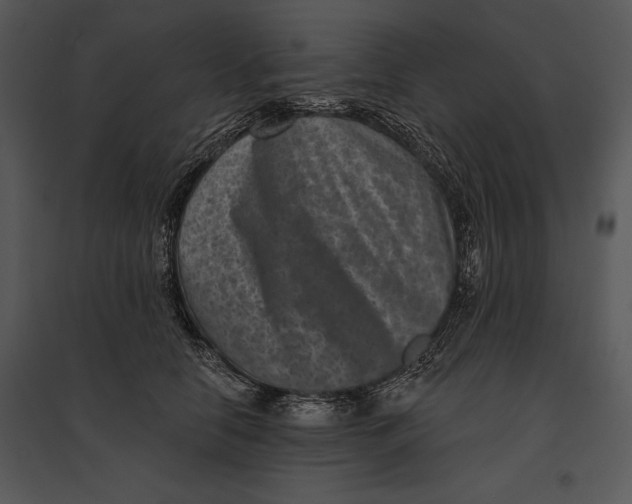 X0000095530658200801041247