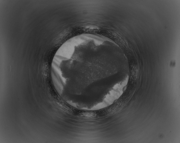 X0000095530659200801041247