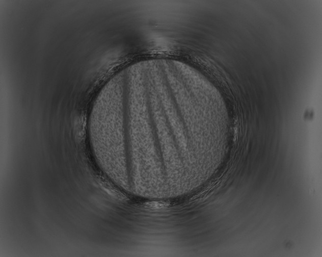 X0000095530660200801041247