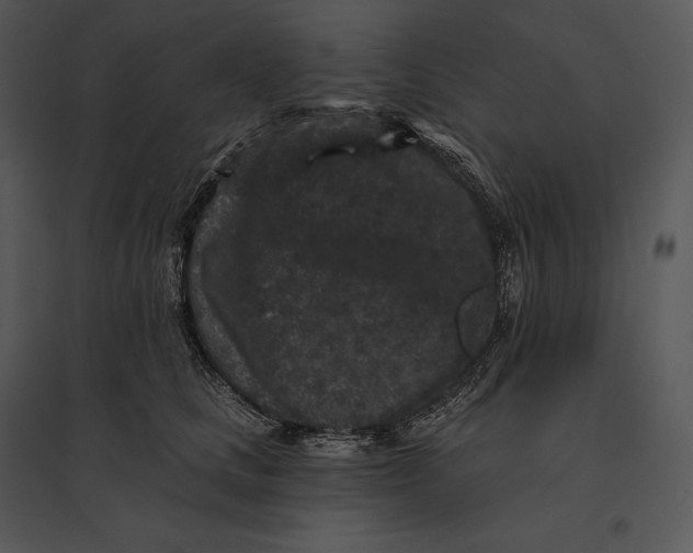 X0000095530661200801041247