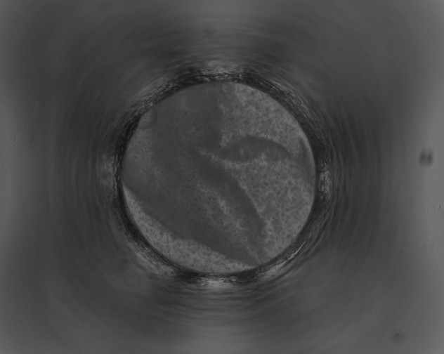 X0000095530662200801041247