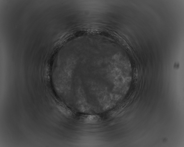 X0000095530663200801041247