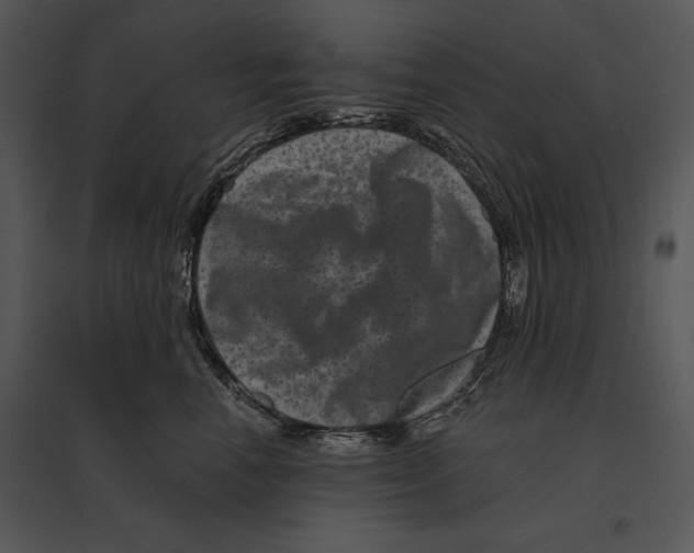 X0000095530666200801041247