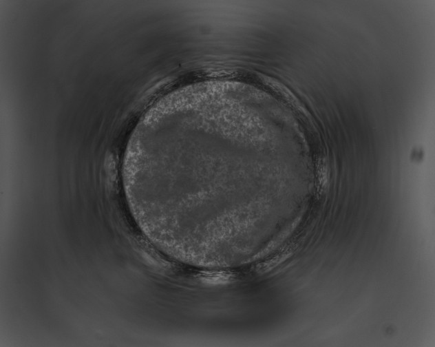 X0000095530667200801041247