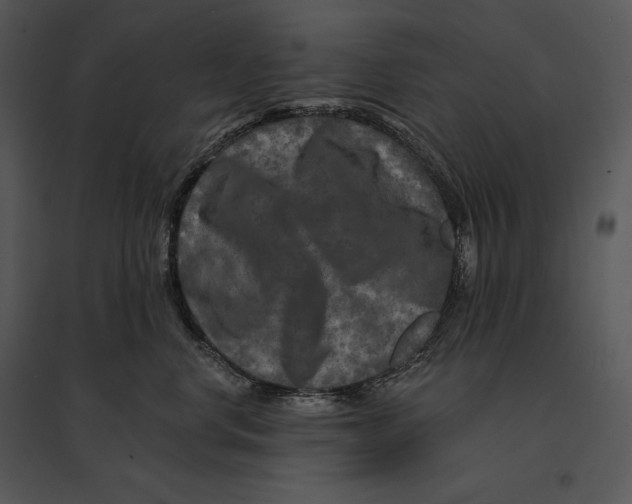 X0000095530668200801041247