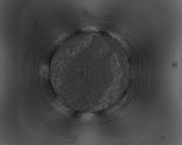 X0000095530669200801041247