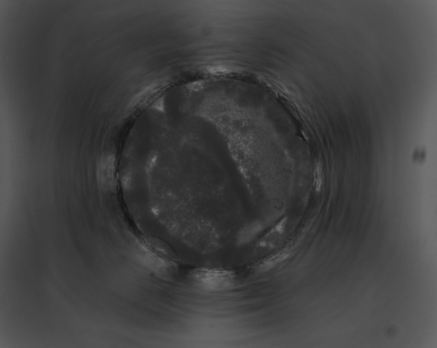 X0000095530670200801041247