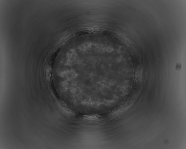 X0000095530671200801041247