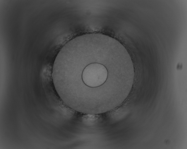 X0000095530672200801041247