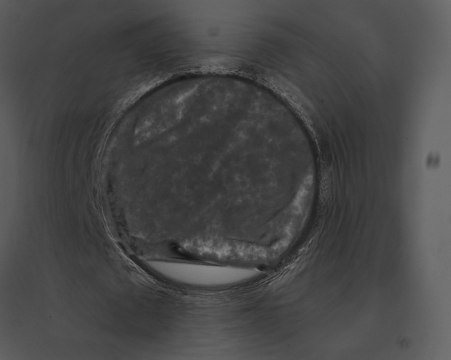 X0000095530673200801041247