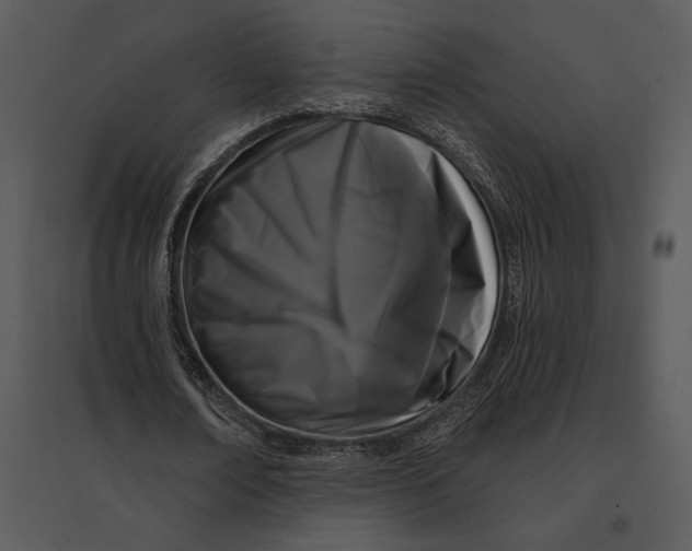 X0000095530674200801041247