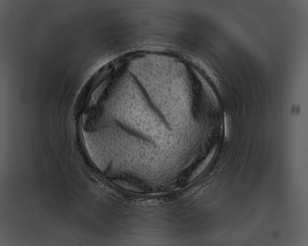 X0000095530675200801041246