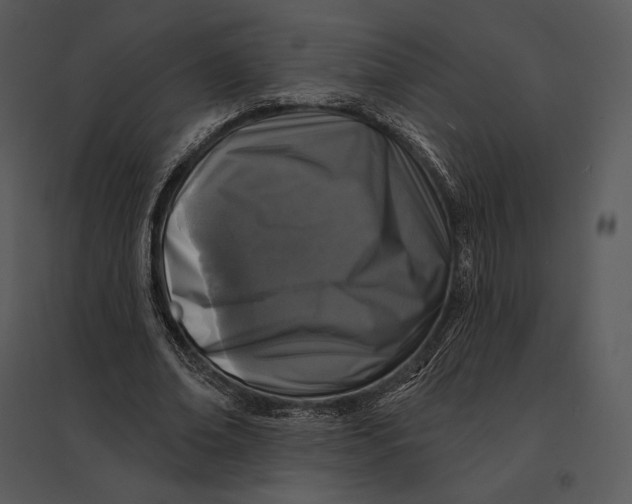 X0000095530678200801041246