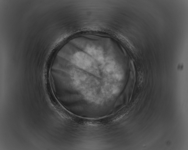 X0000095530680200801041246