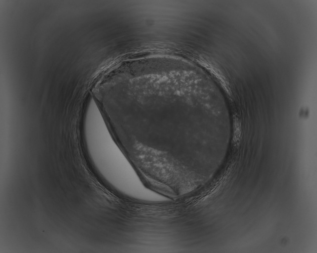 X0000095530681200801041246