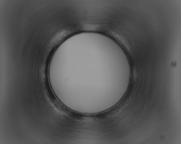 X0000095530682200801041246